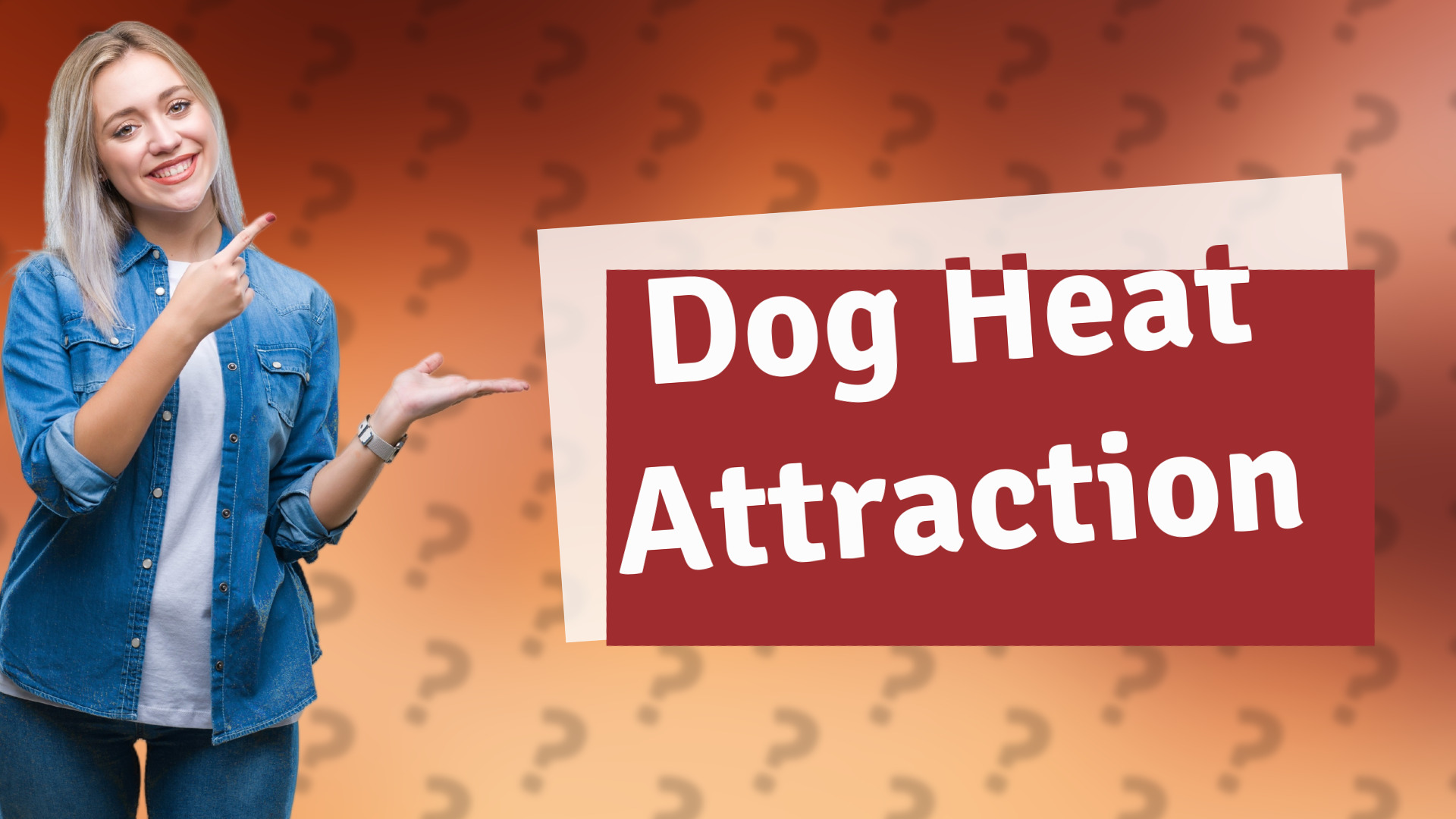 Dog Heat Attraction