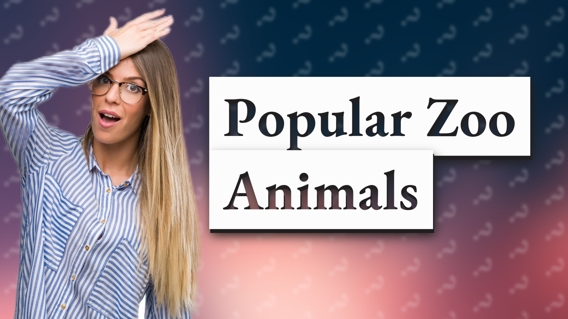 Popular Zoo Animals