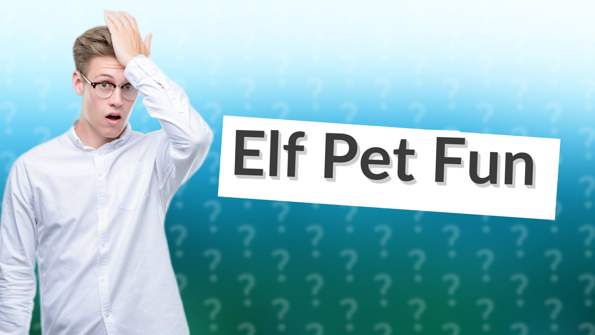 Elf Pet Fun