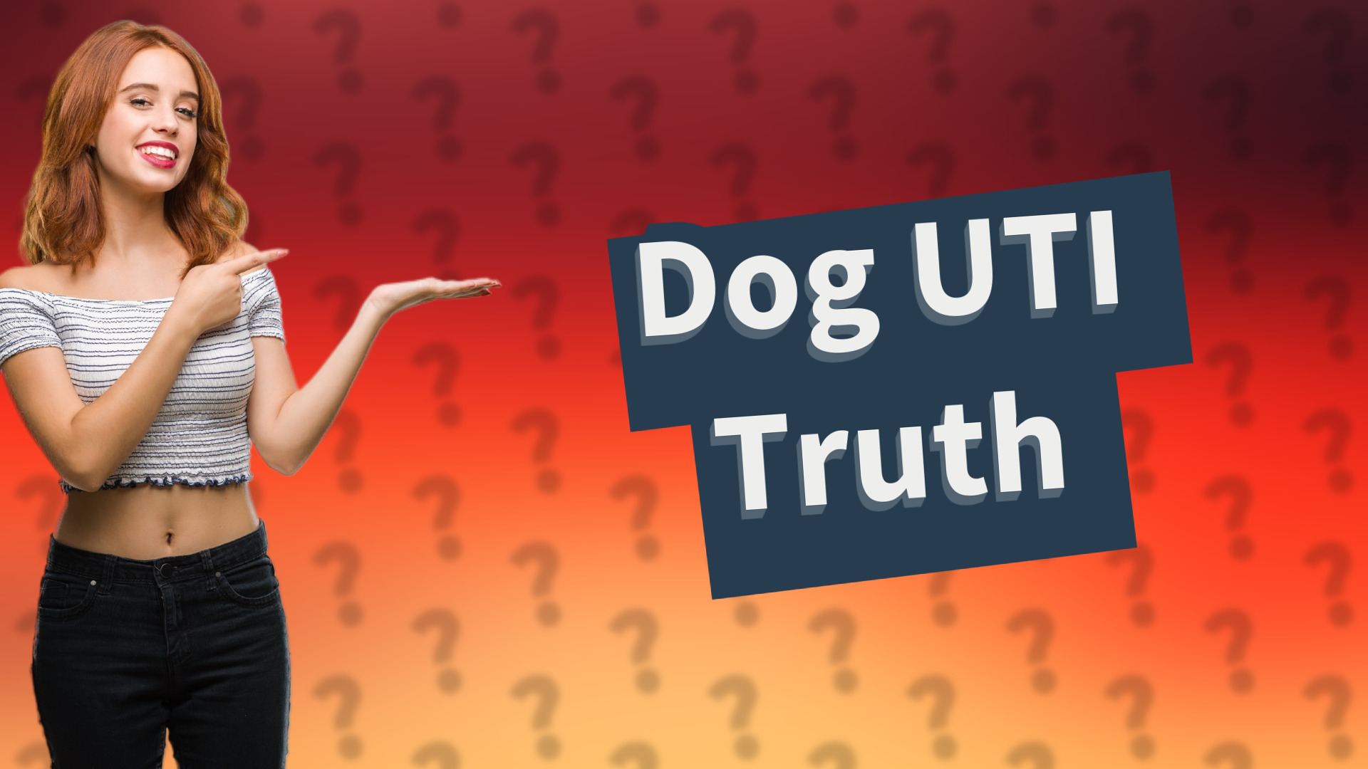 Dog UTI Truth