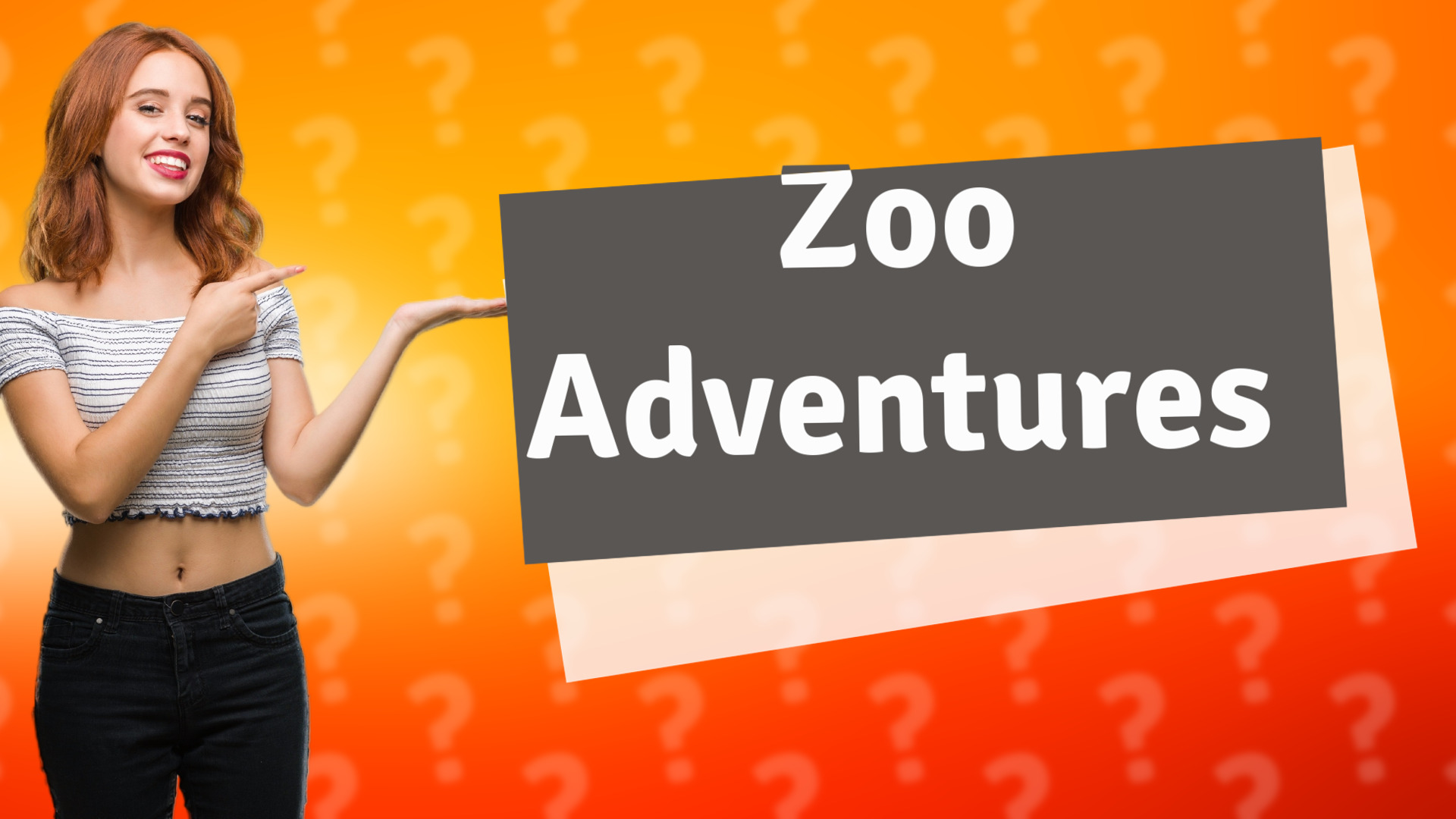 Zoo Adventures
