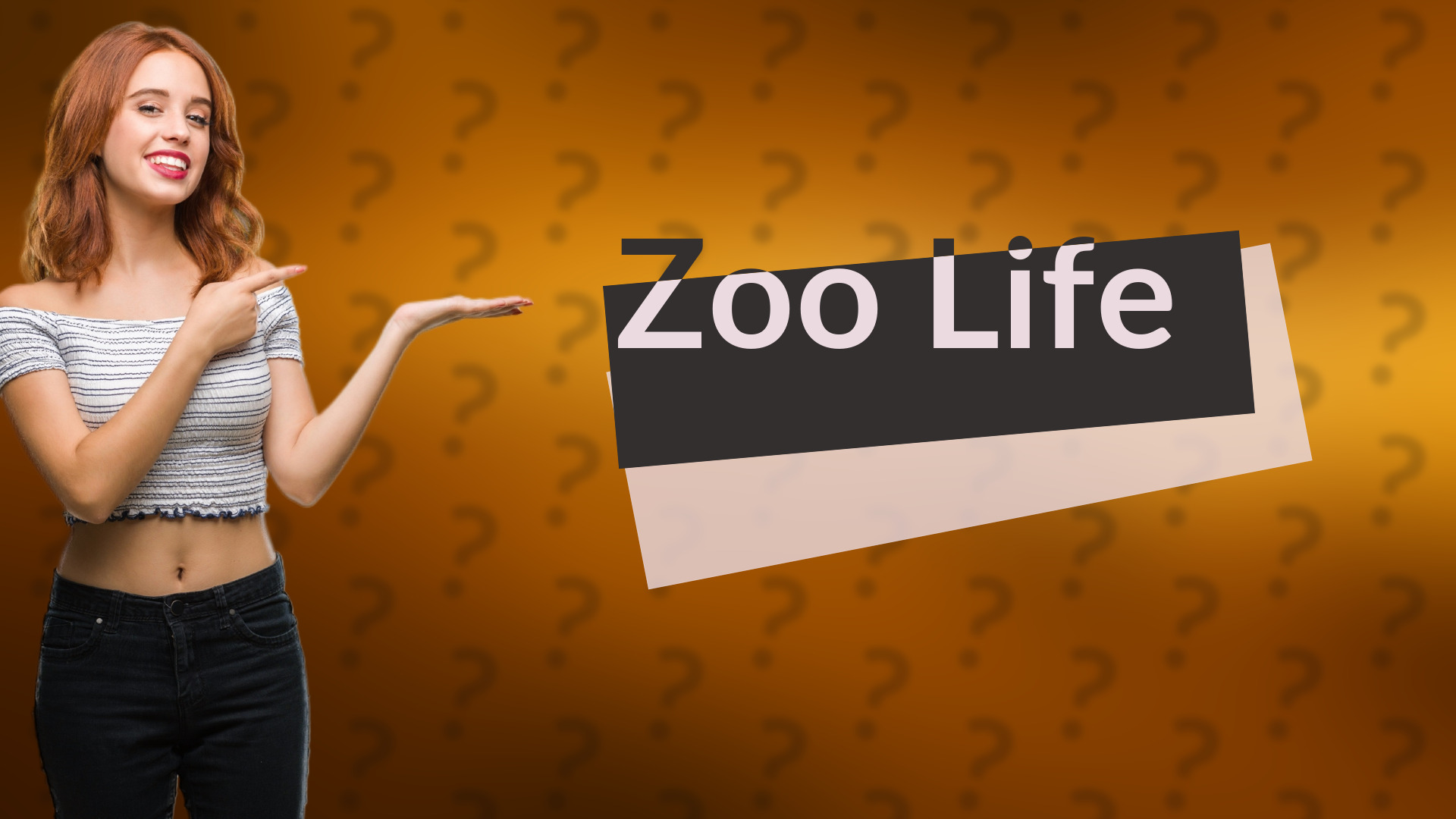 Zoo Life