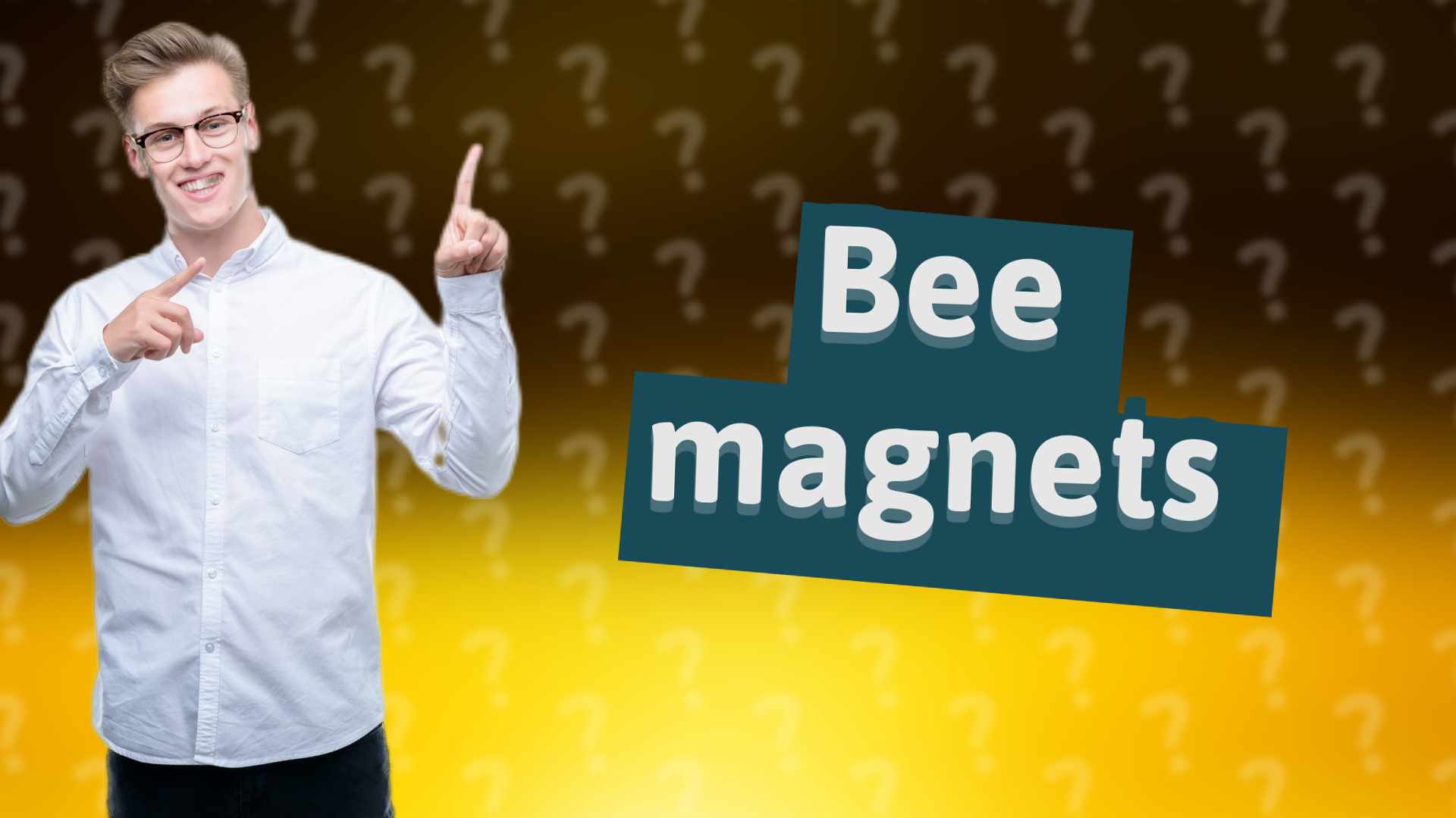 Bee magnets