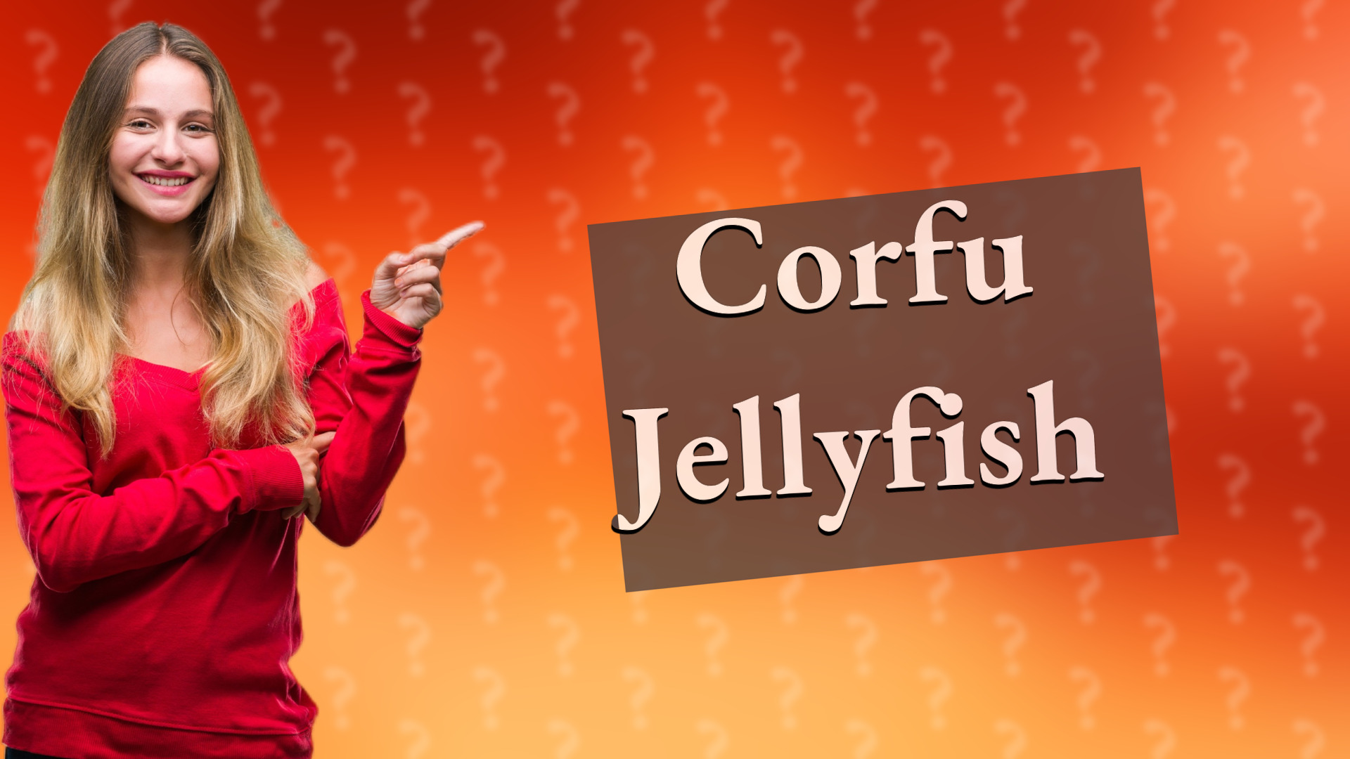 Corfu Jellyfish