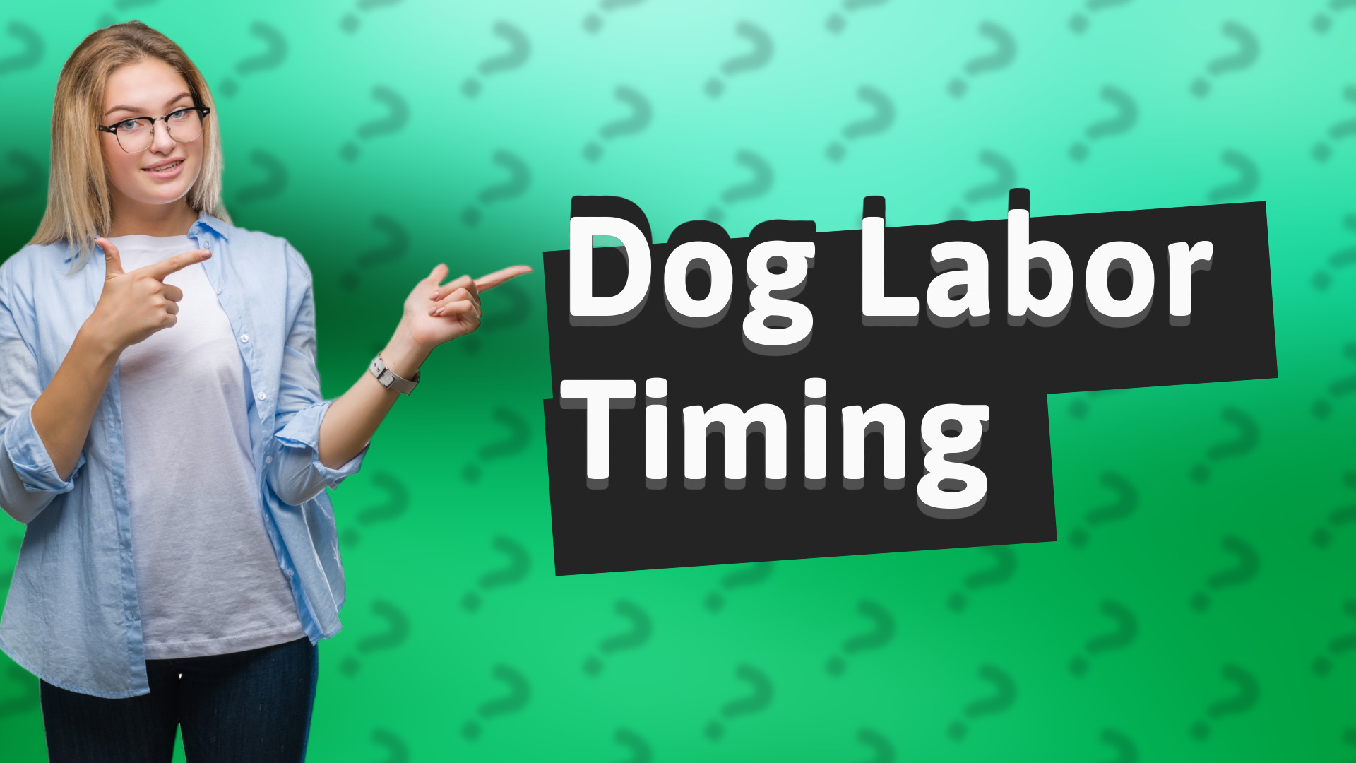 Dog Labor Timing