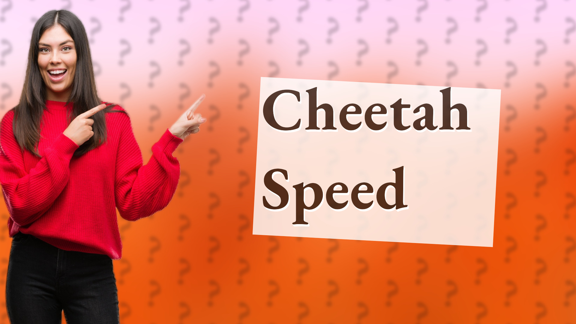 Cheetah Speed