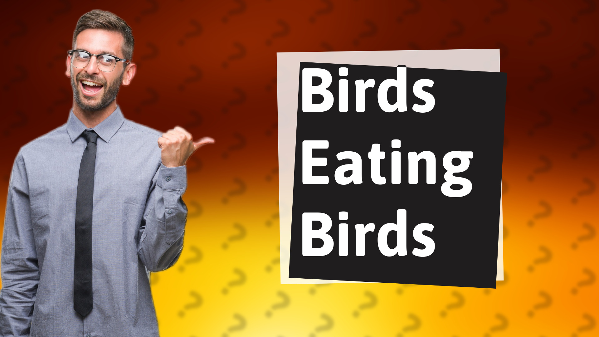Birds Eating Birds