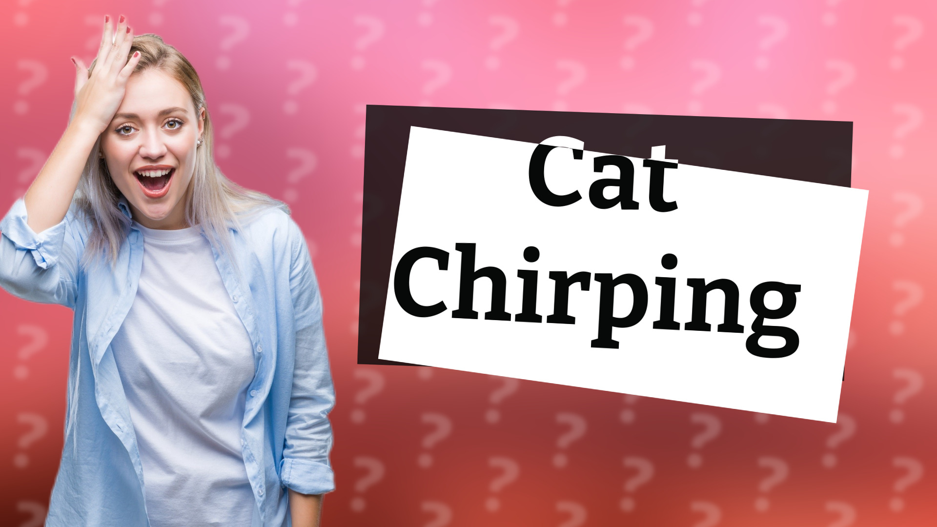 Cat Chirping