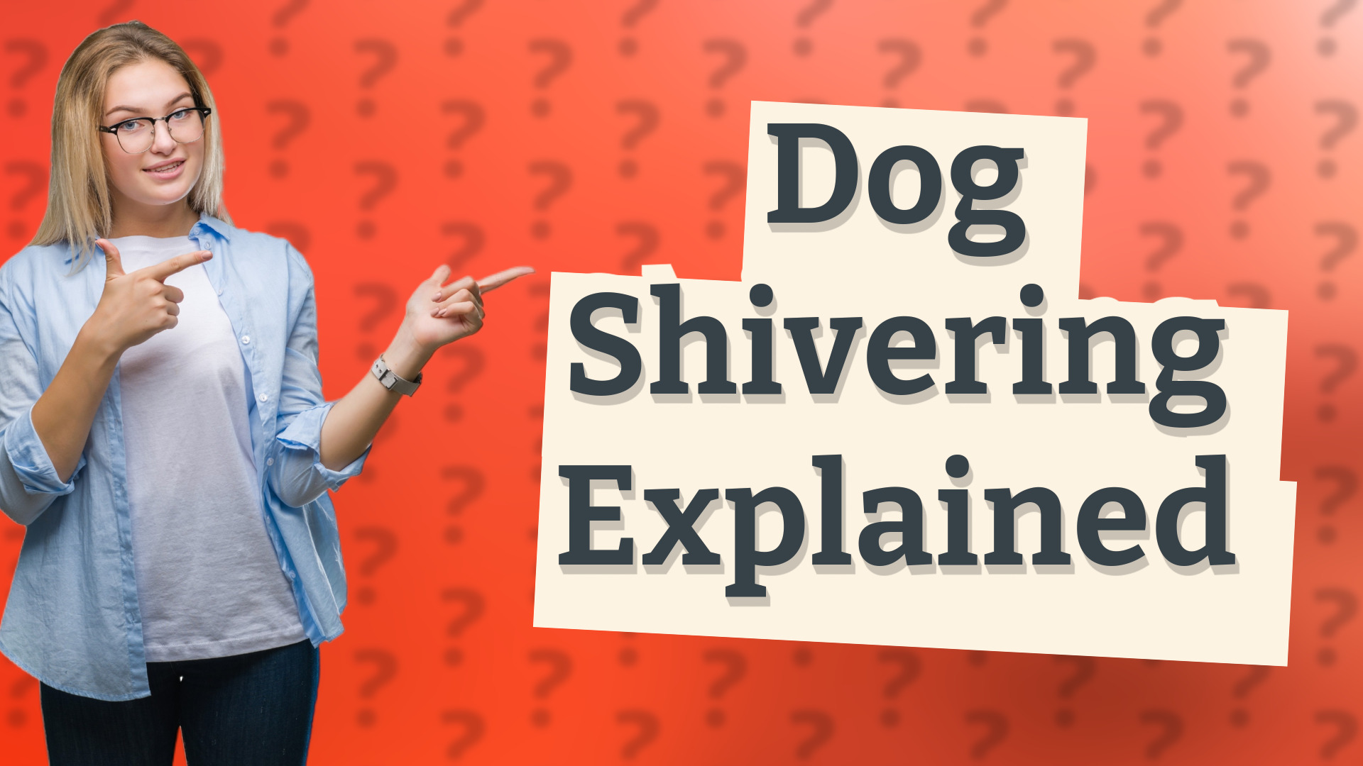 Dog Shivering Explained