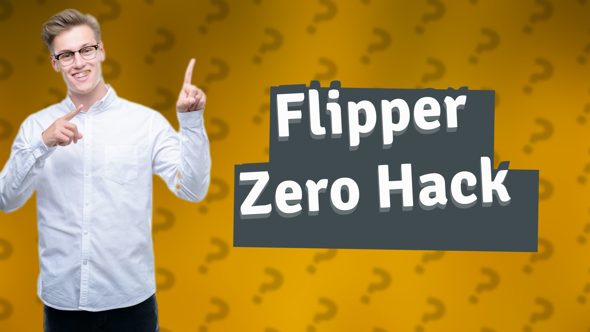 Flipper Zero Hack