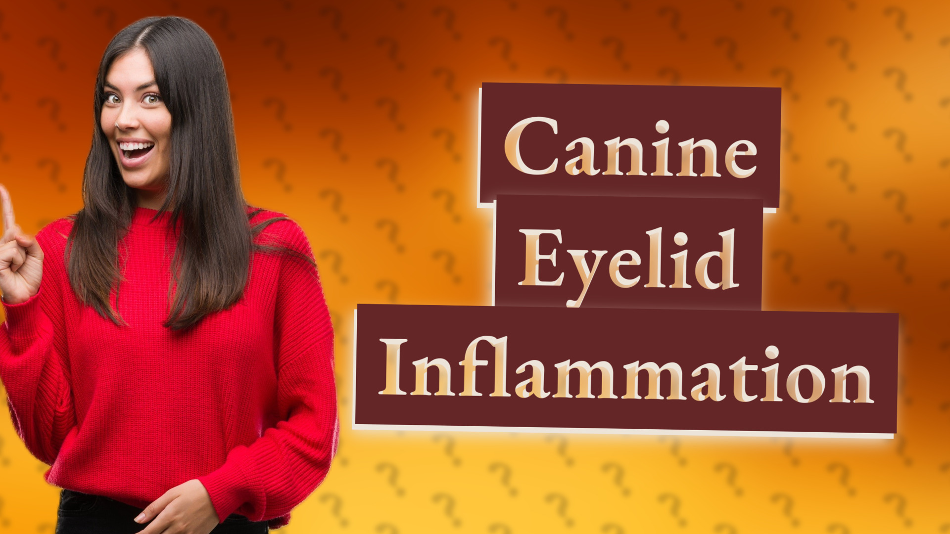 Canine Eyelid Inflammation