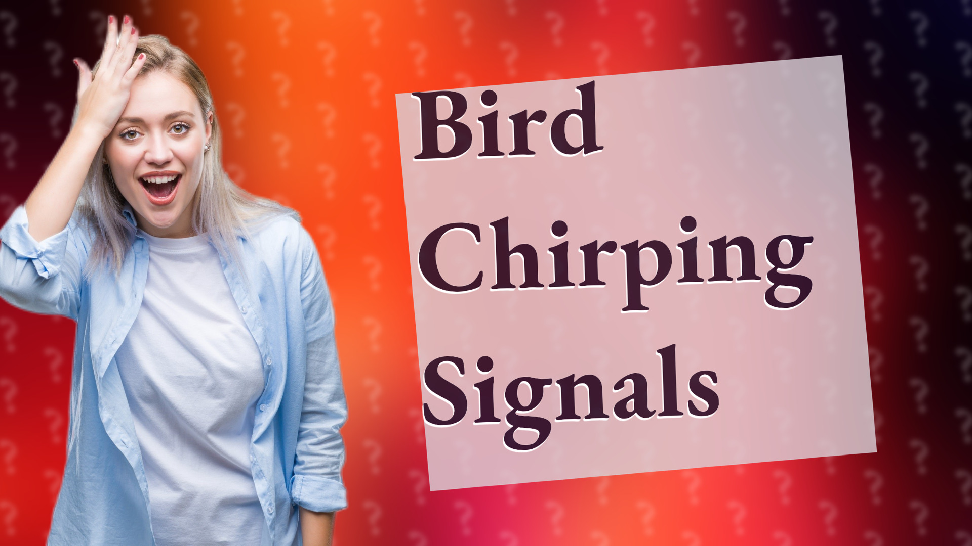 Bird Chirping Signals