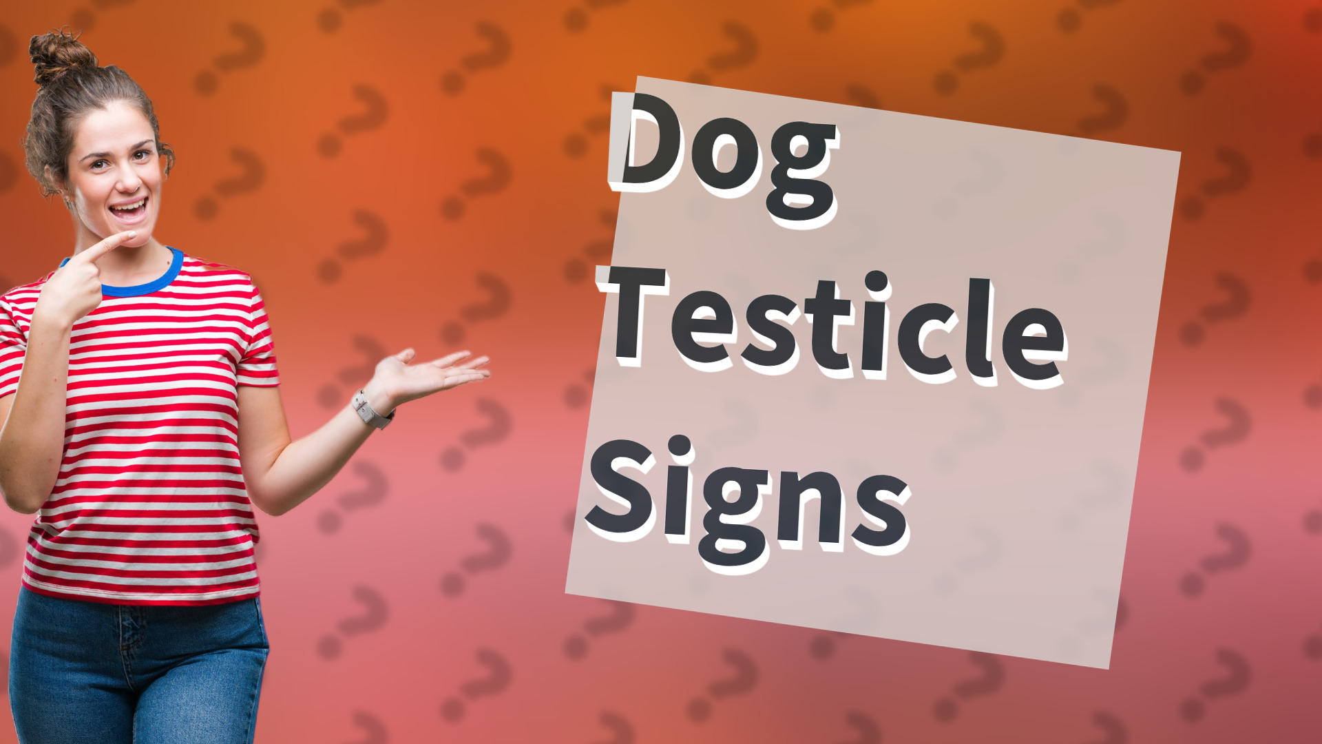 Dog Testicle Signs
