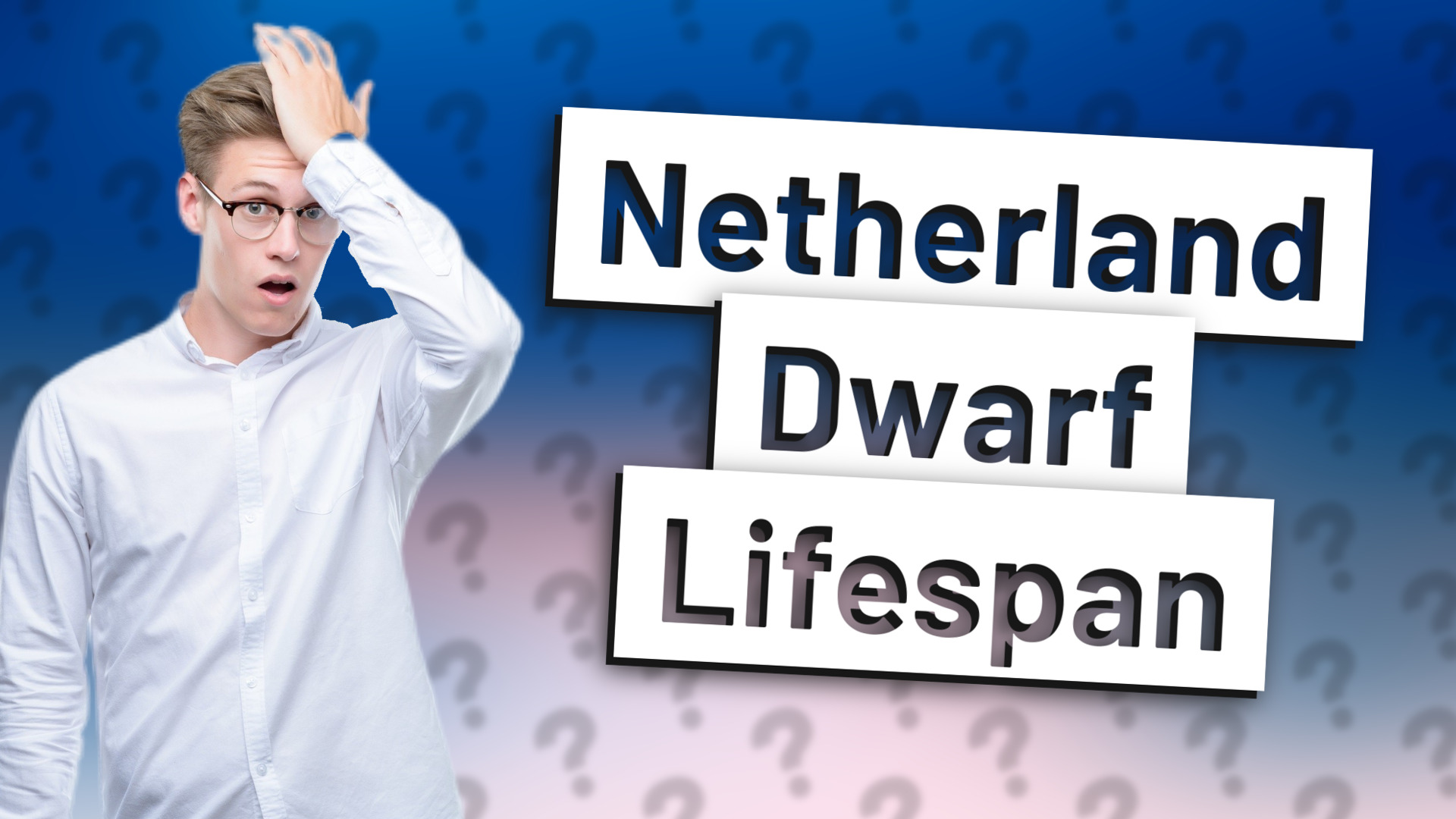 Netherland Dwarf Lifespan
