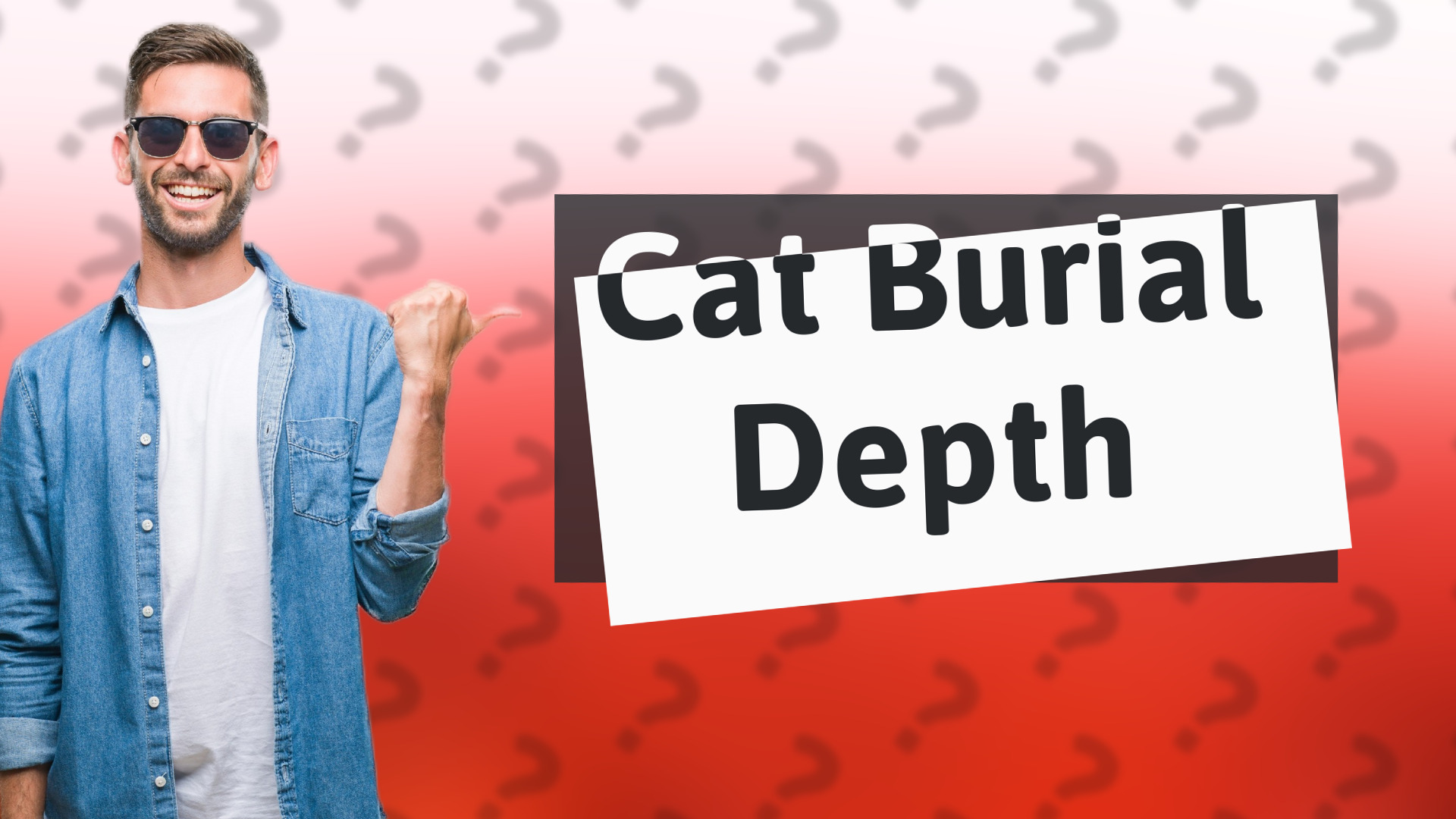 Cat Burial Depth