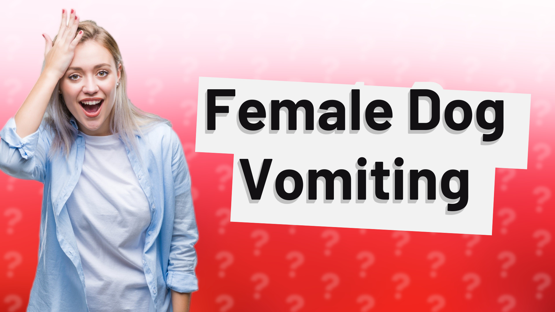 Female Dog Vomiting