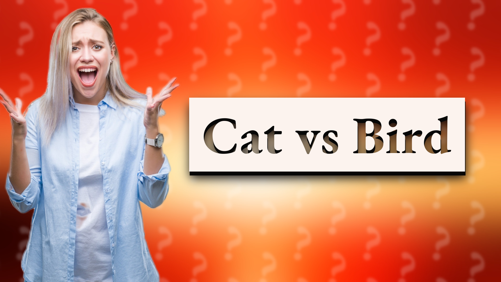 Cat vs Bird