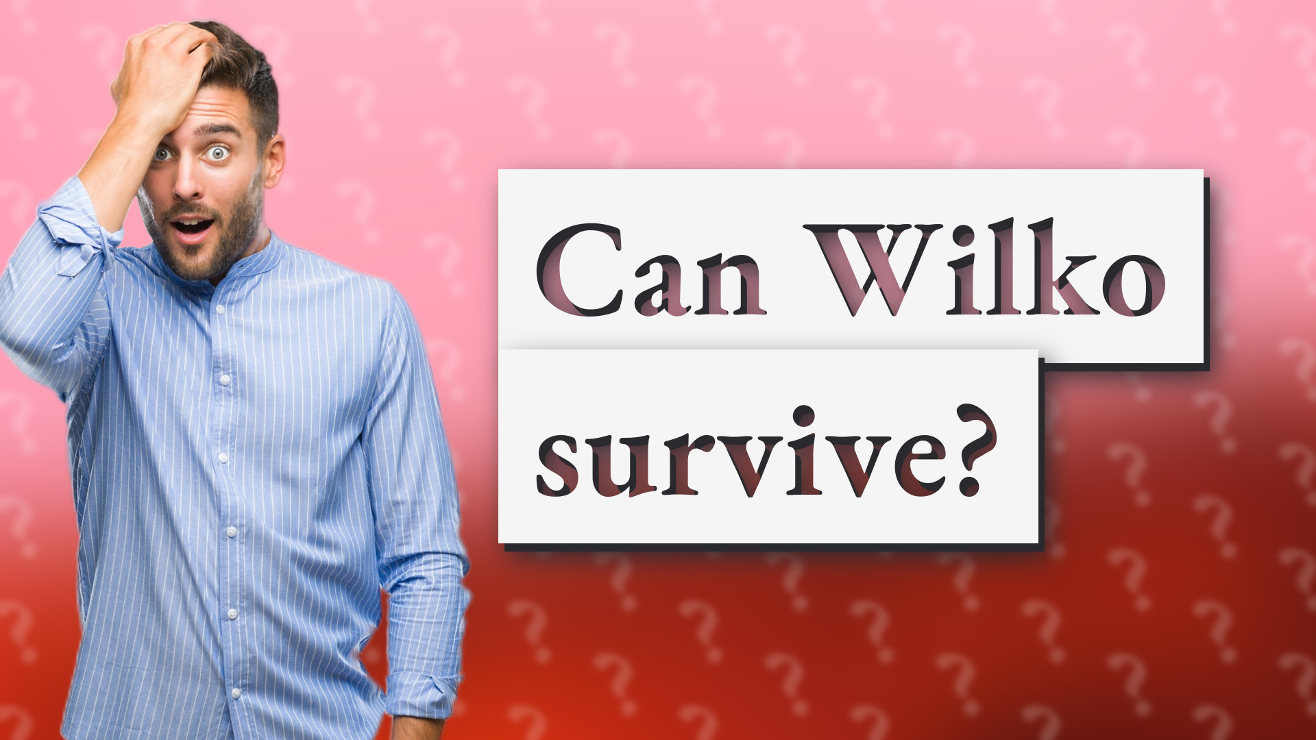 Can Wilko survive?