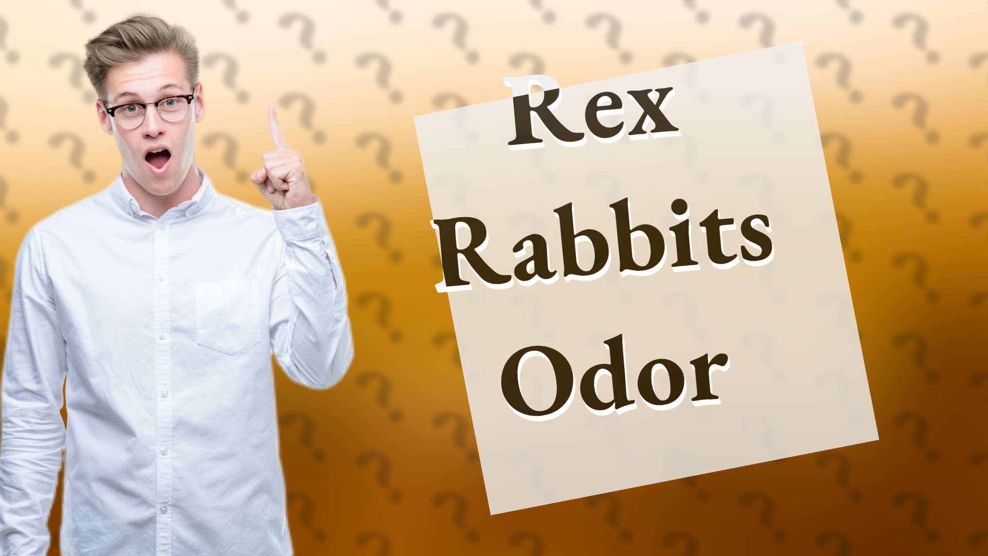 Rex Rabbits Odor