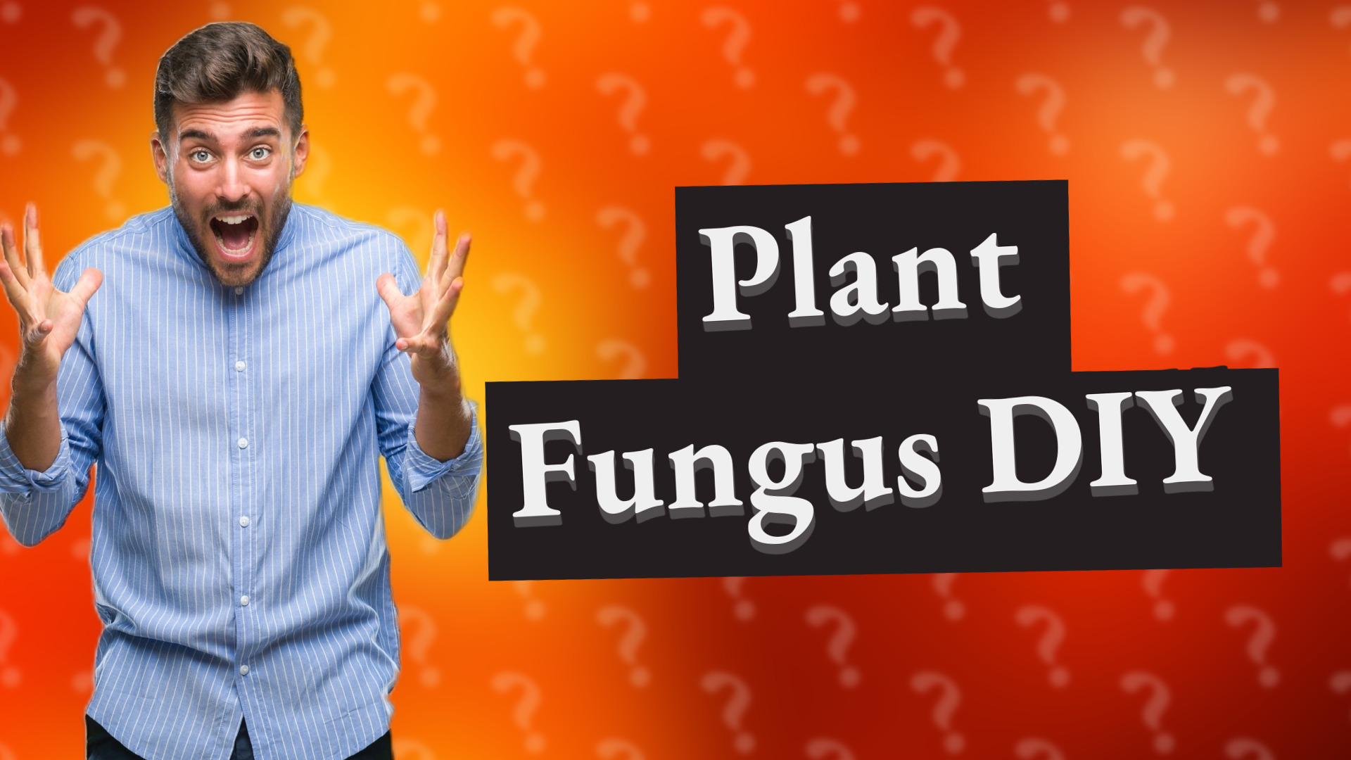 Plant Fungus DIY