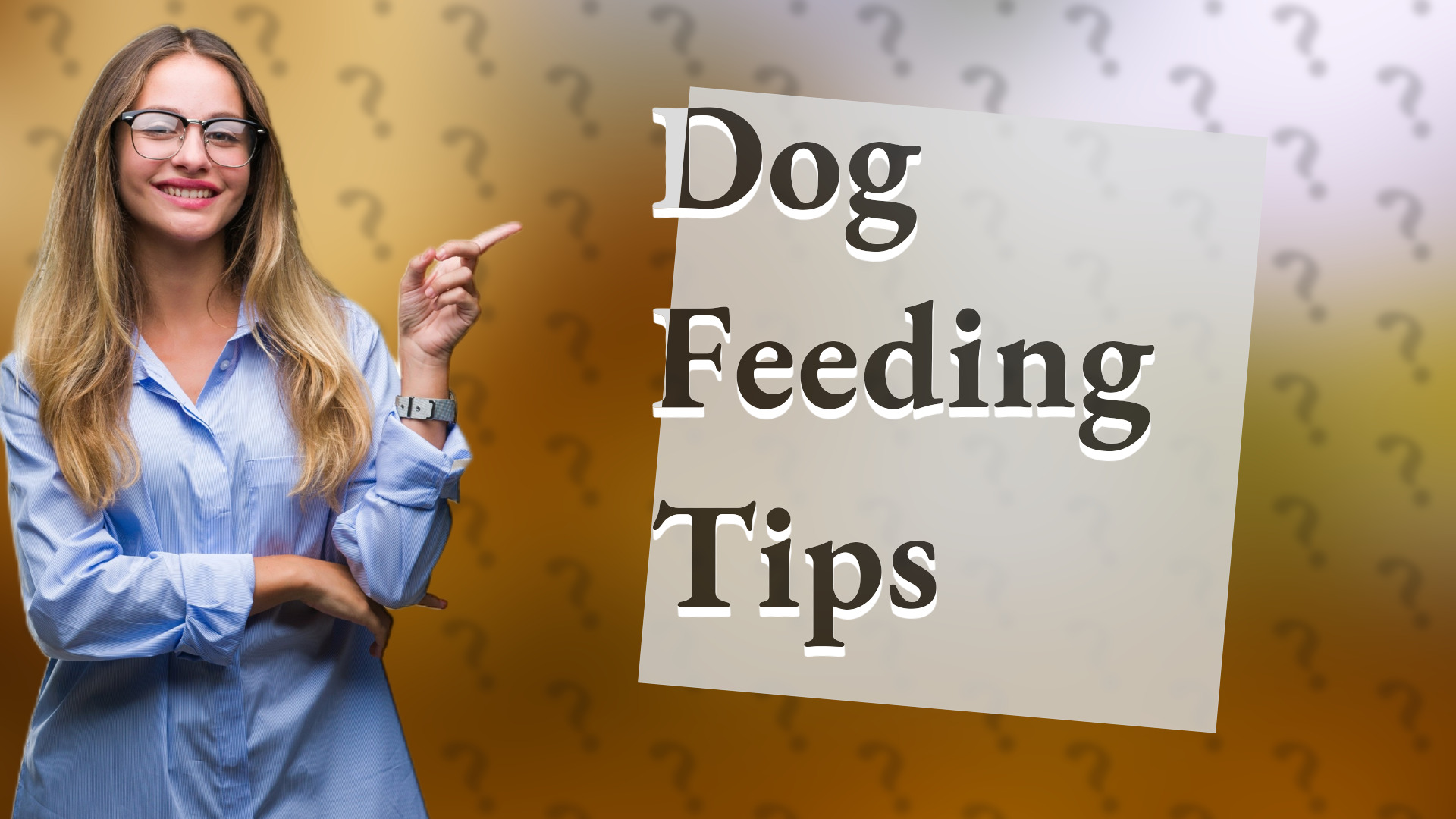 Dog Feeding Tips