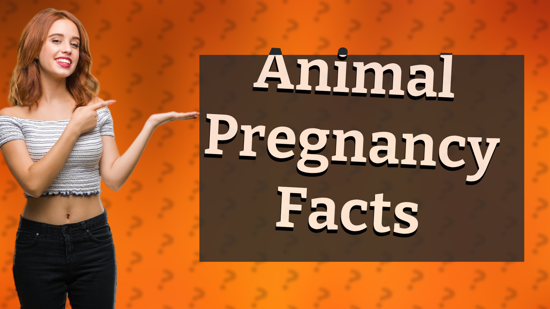 Animal Pregnancy Facts