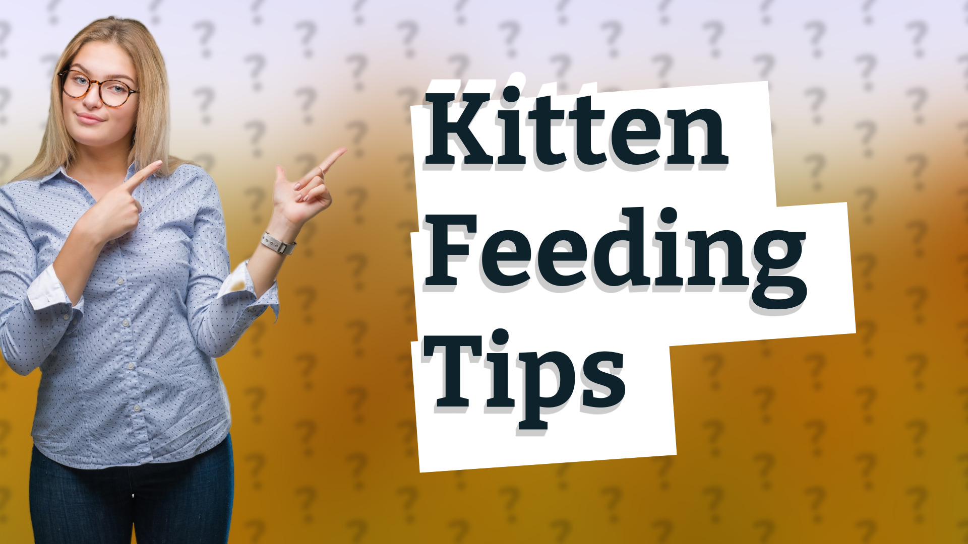 Kitten Feeding Tips