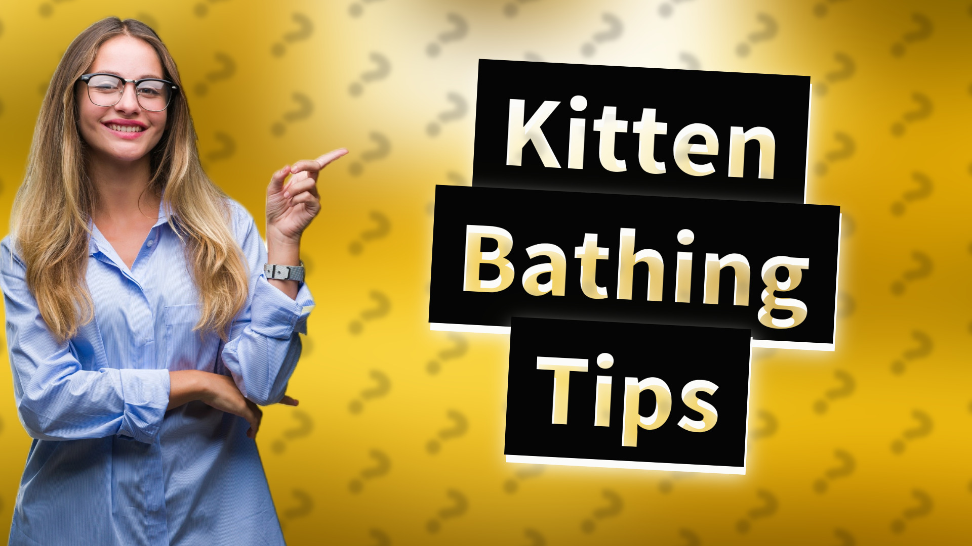 Kitten Bathing Tips