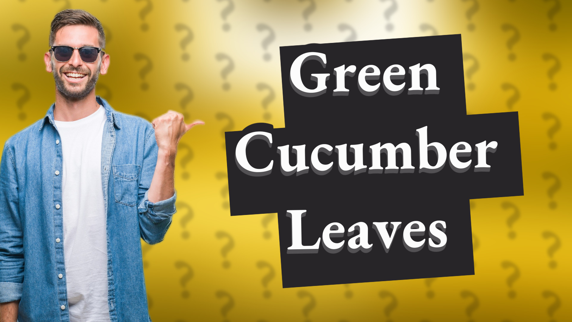 Green Cucumber Leaves