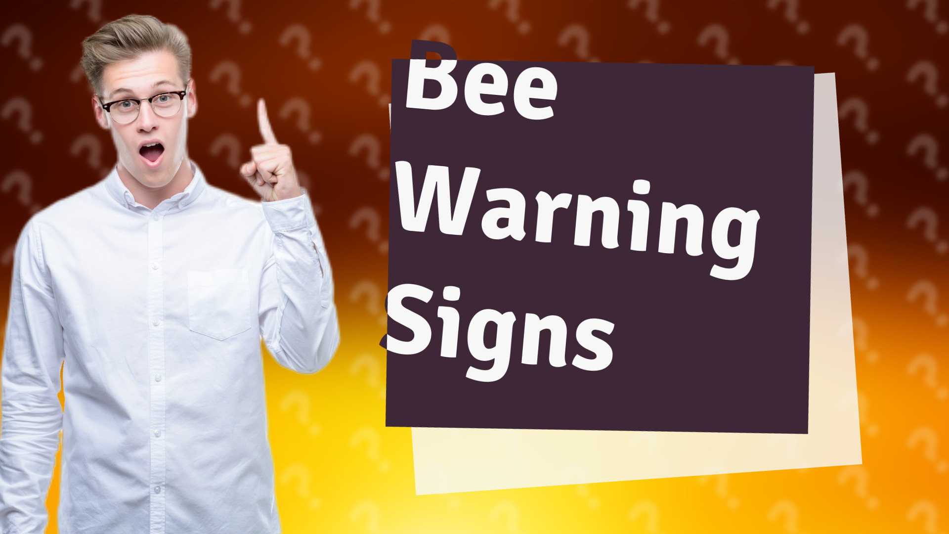 Bee Warning Signs