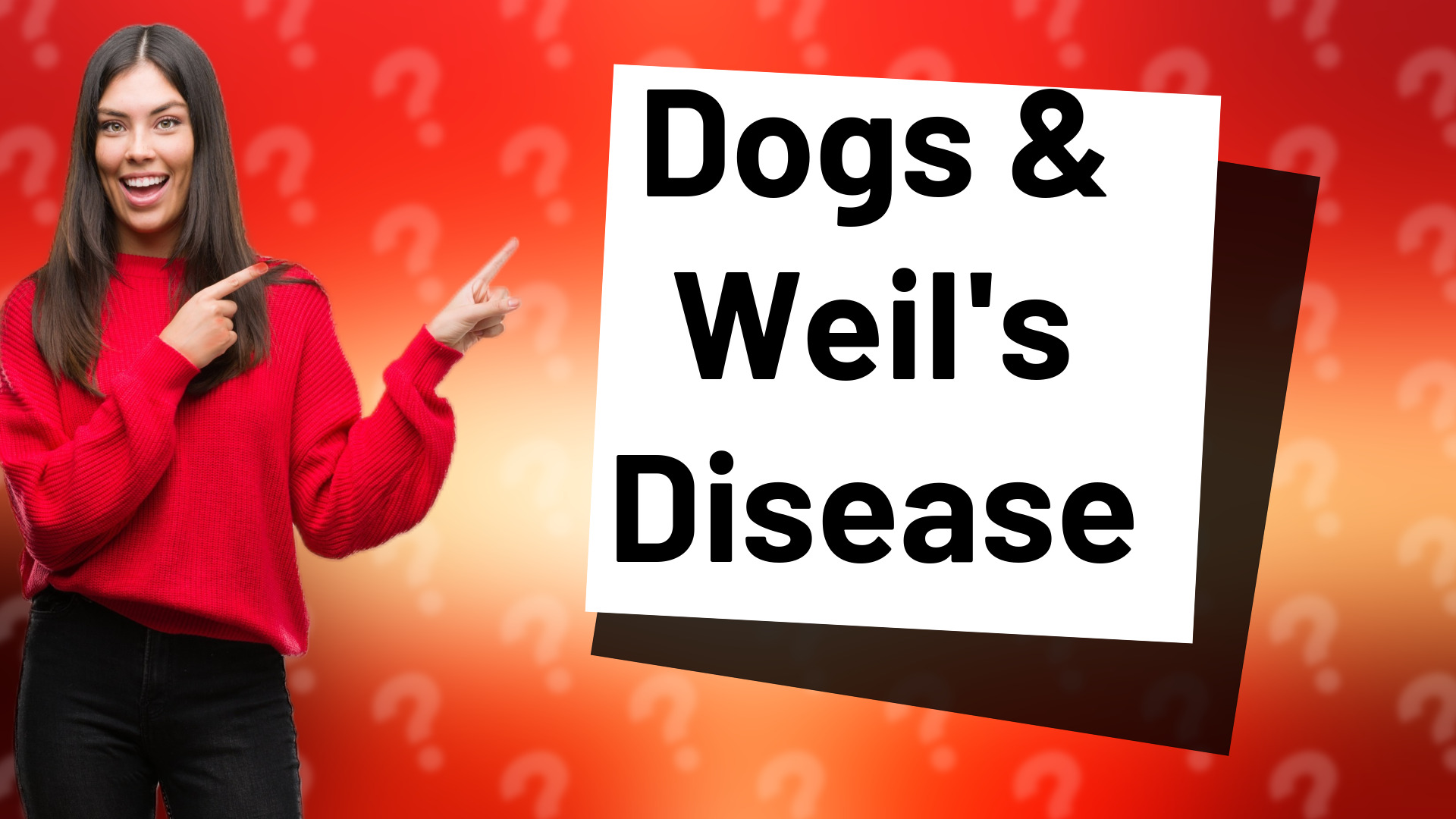 Dogs & Weil's Disease