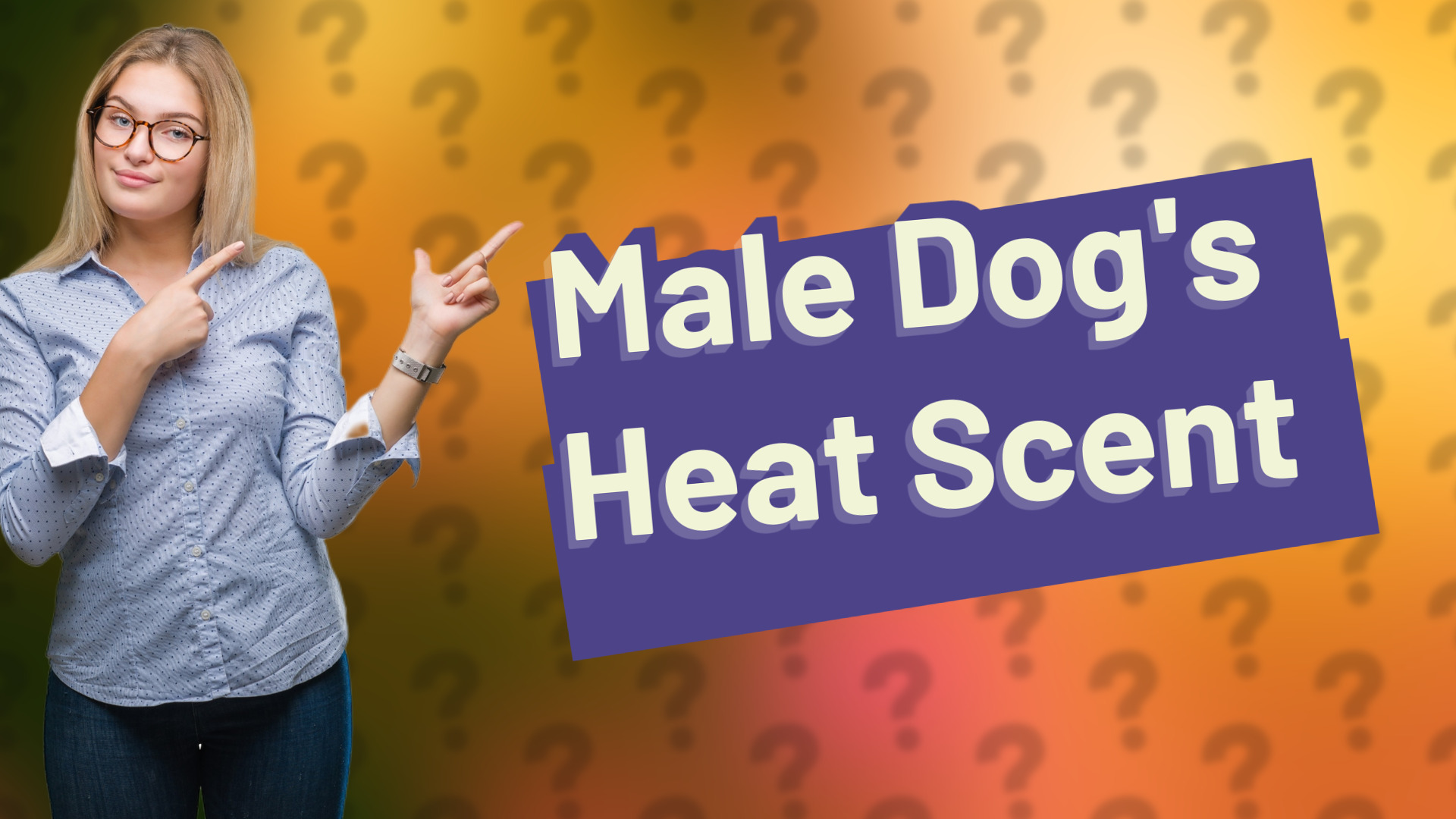 Male Dog's Heat Scent