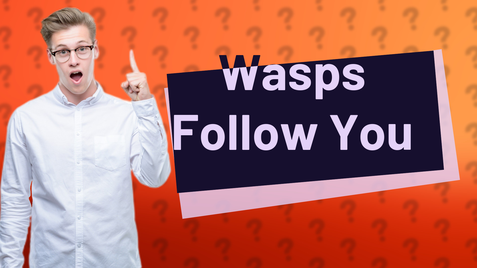 Wasps Follow You