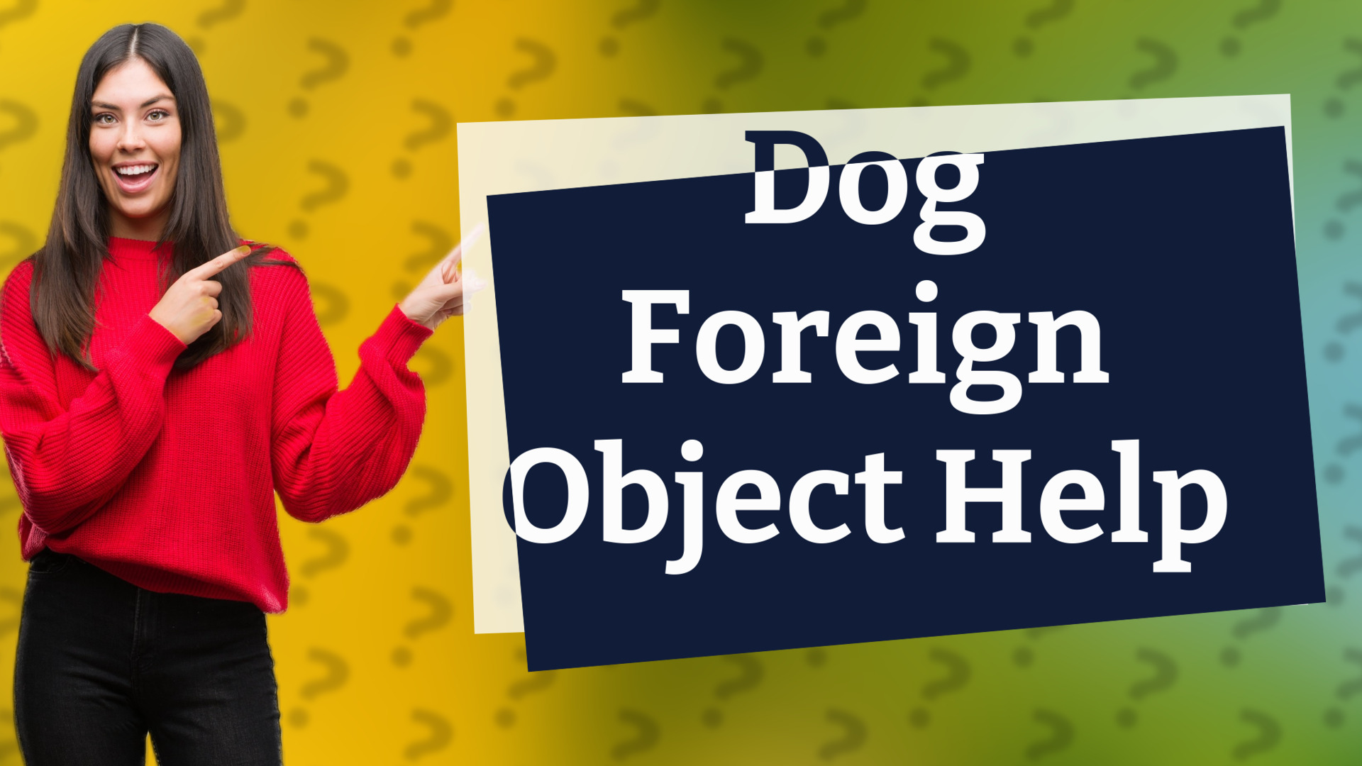 Dog Foreign Object Help