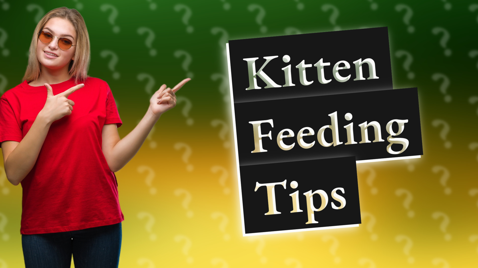 Kitten Feeding Tips