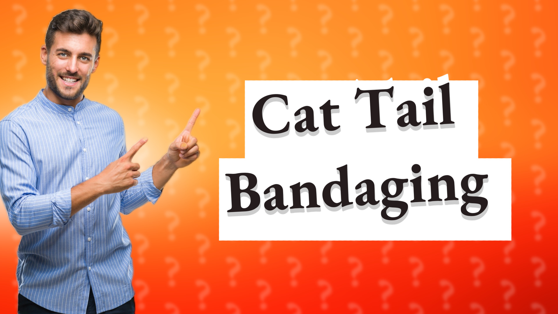 Cat Tail Bandaging