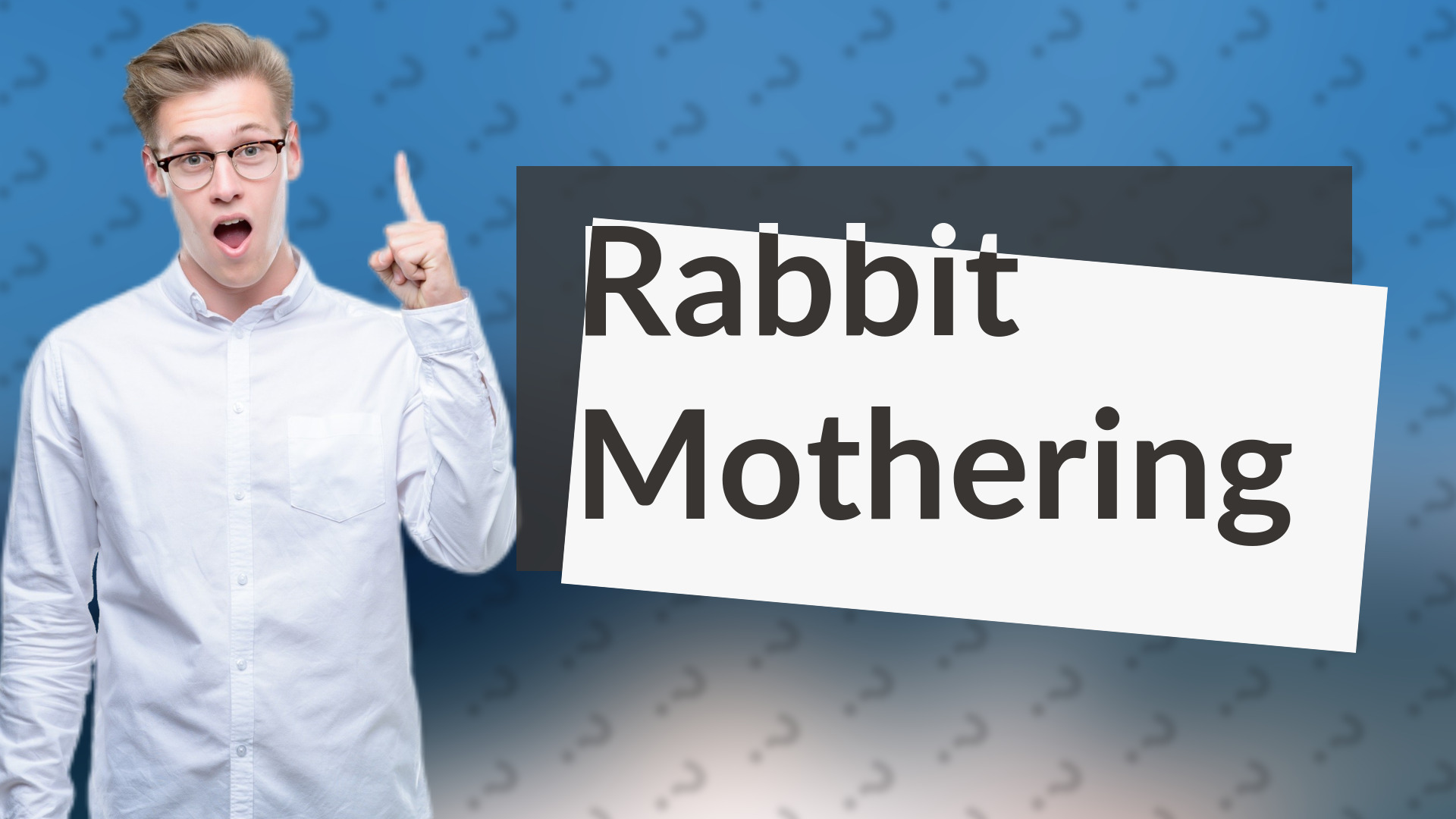 Rabbit Mothering