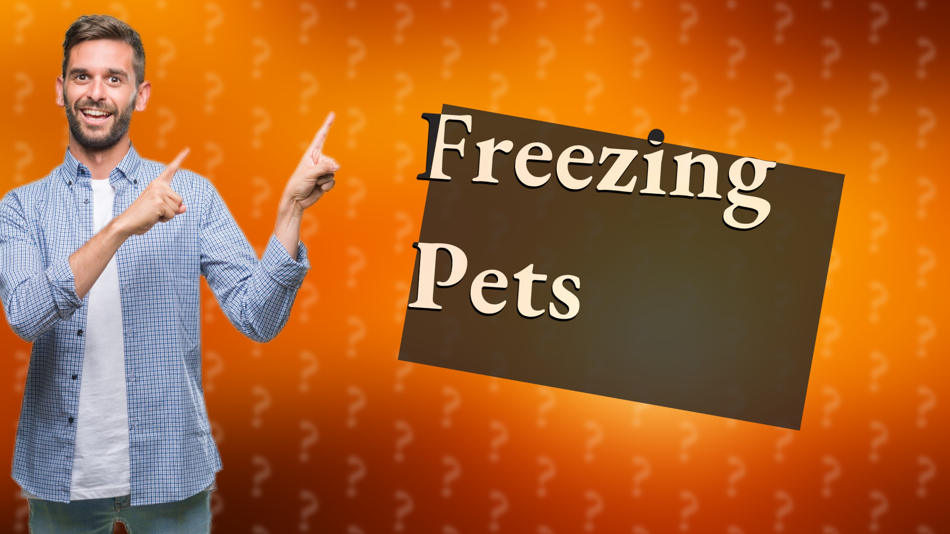 Freezing Pets