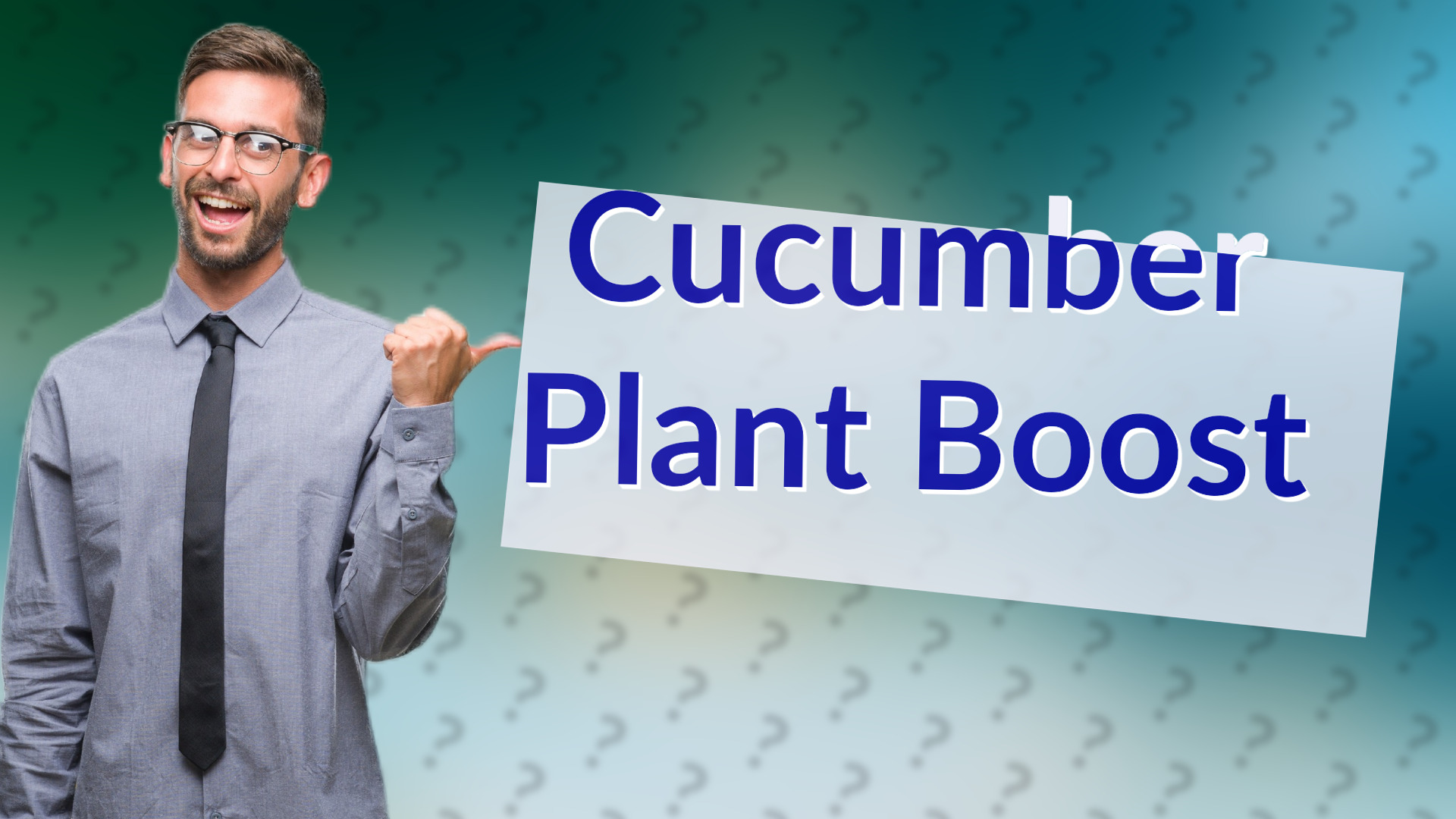 Cucumber Plant Boost