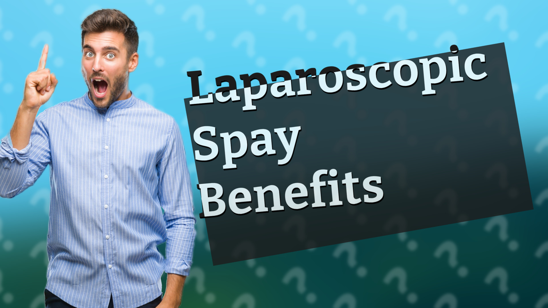 Laparoscopic Spay Benefits