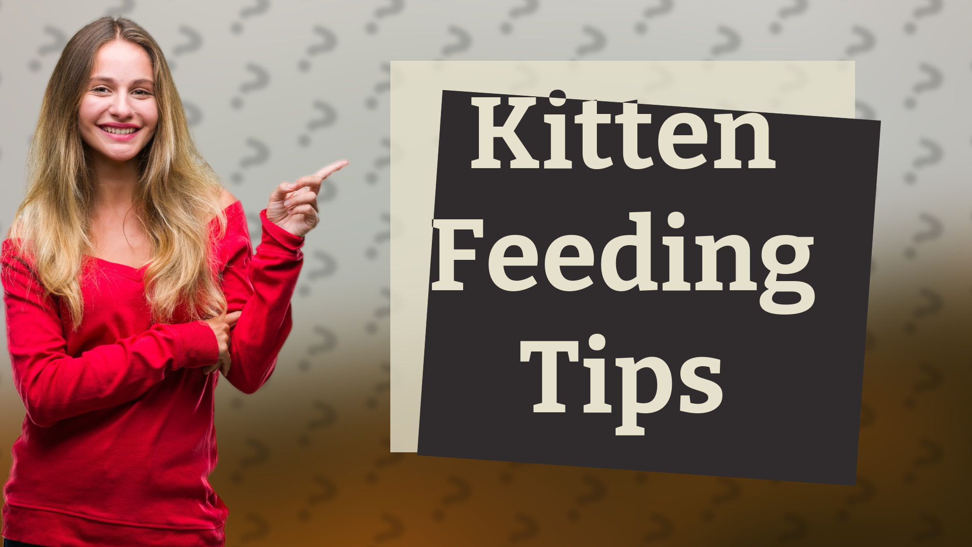 Kitten Feeding Tips
