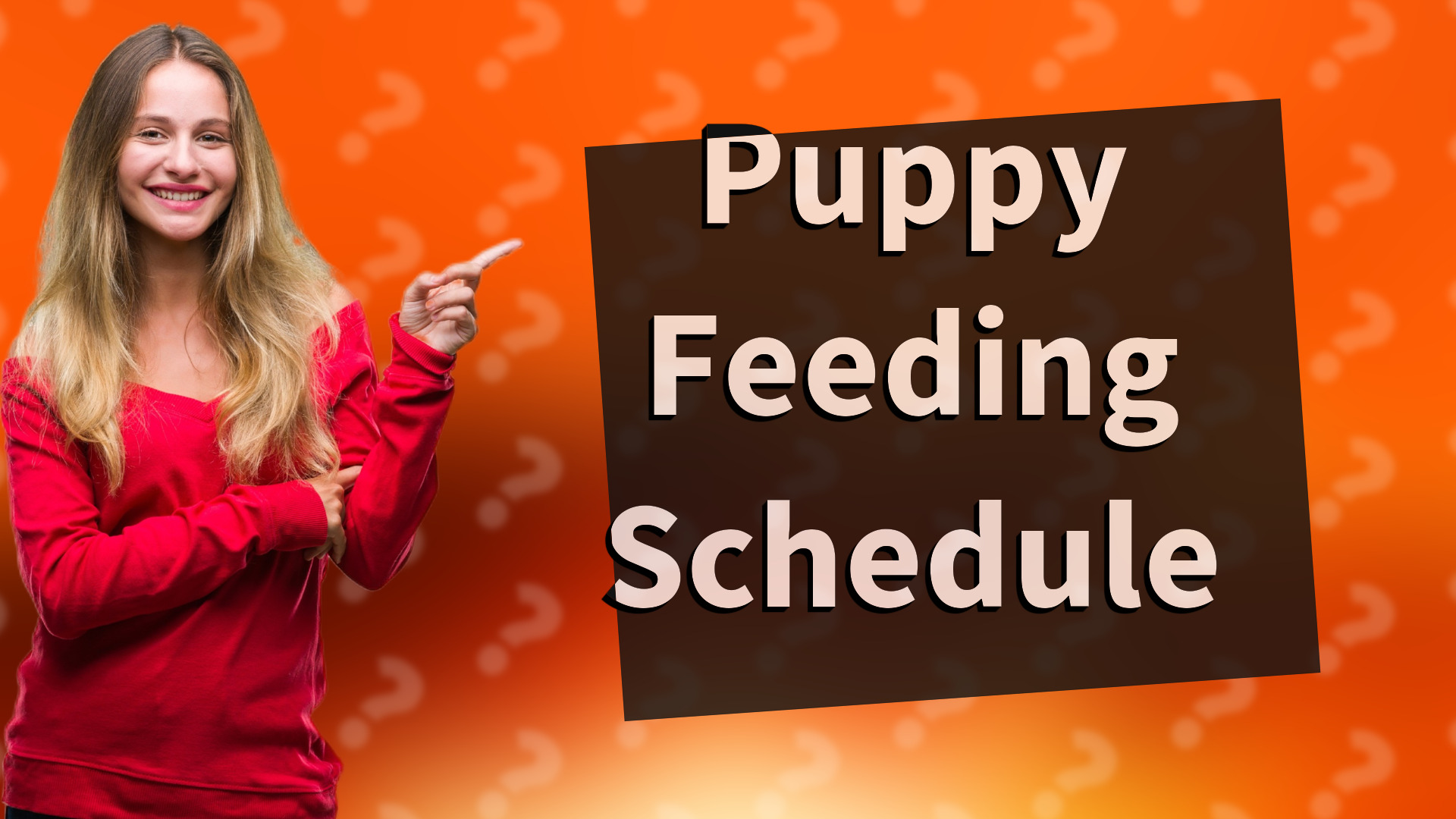 Puppy Feeding Schedule