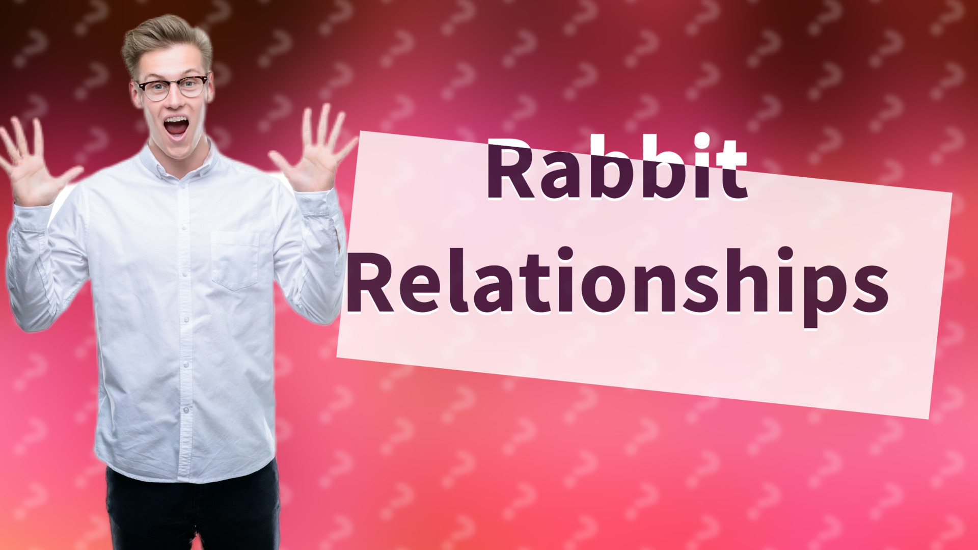 Rabbit Relationships