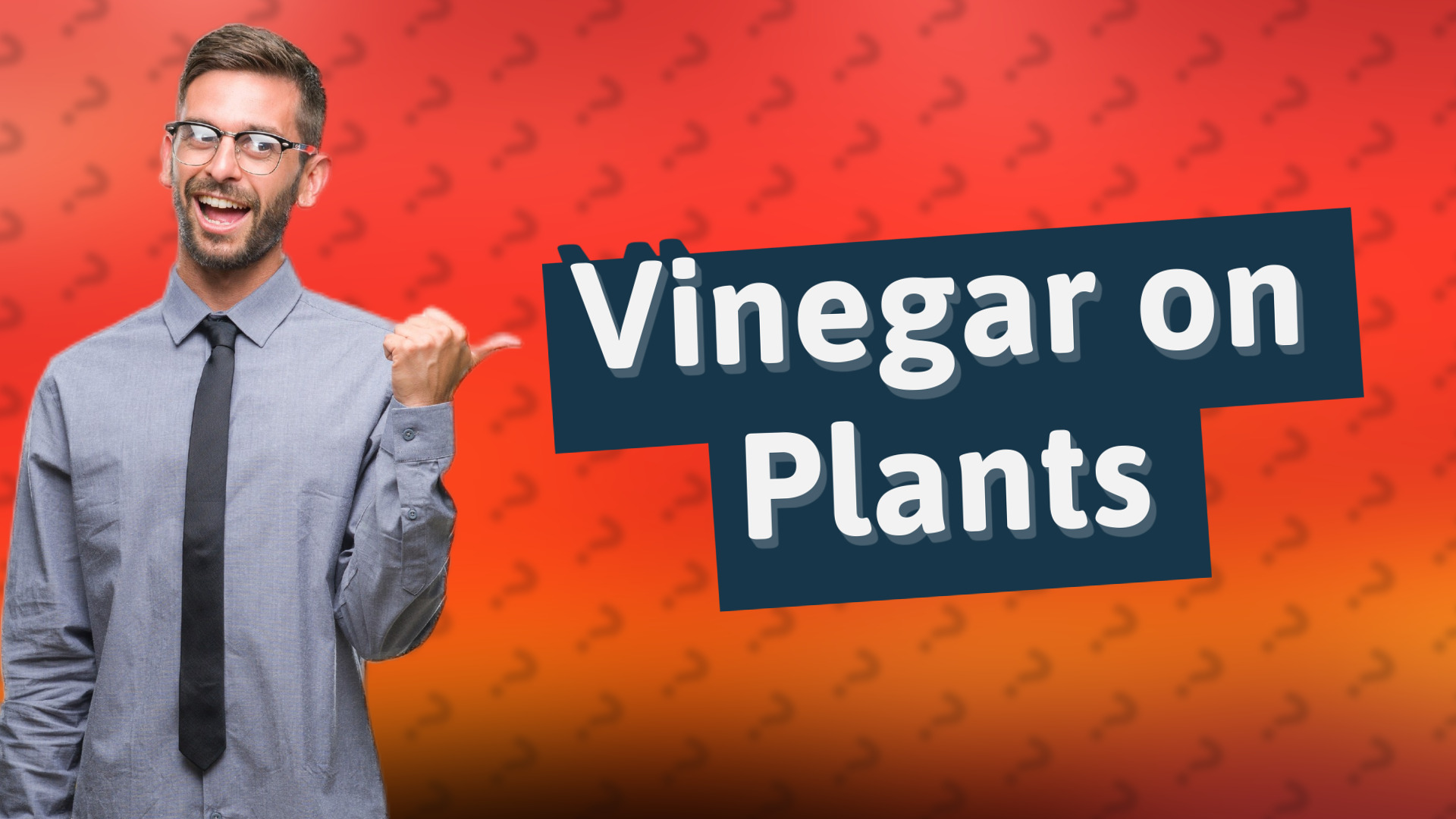 Vinegar on Plants