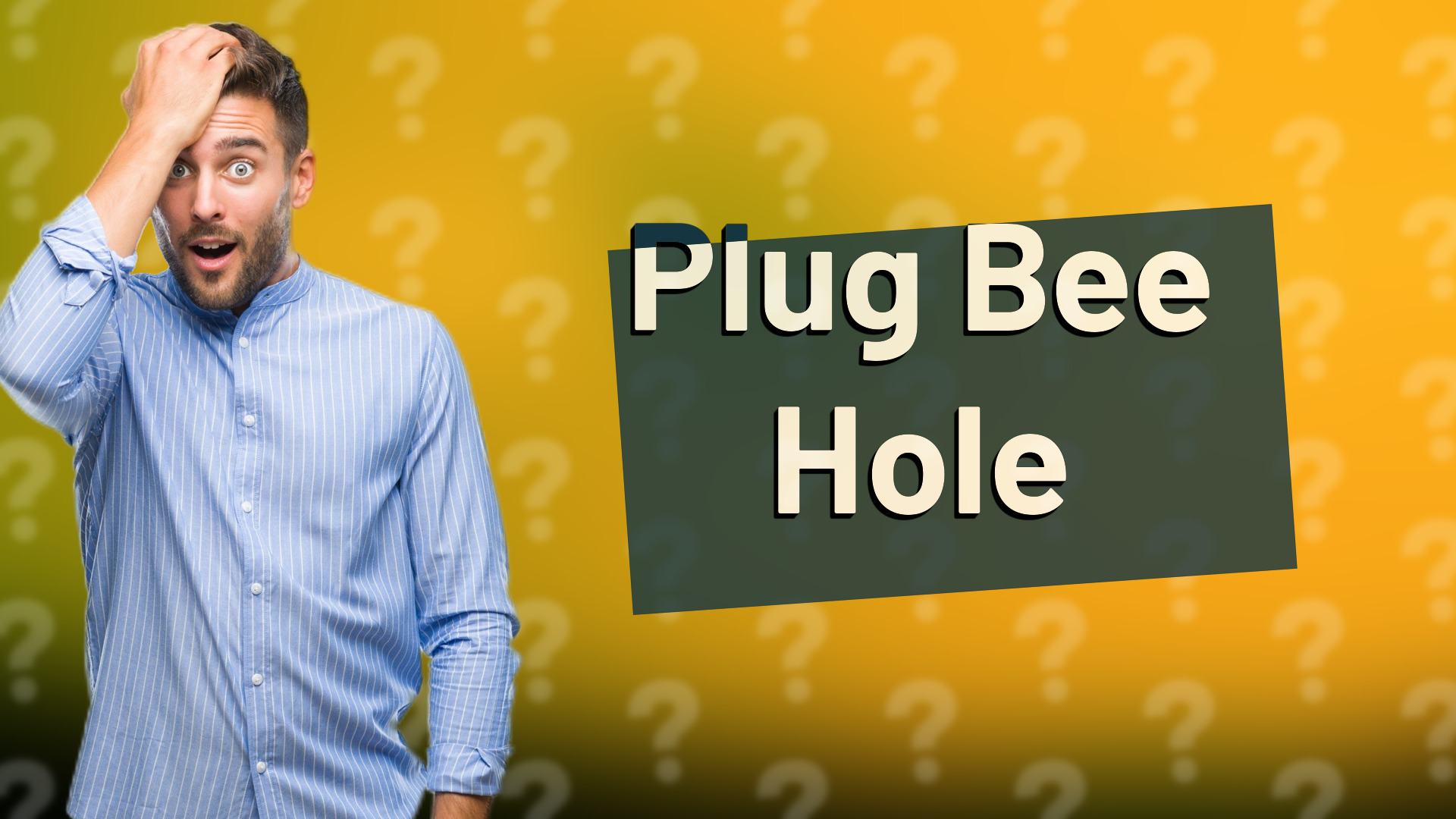 Plug Bee Hole