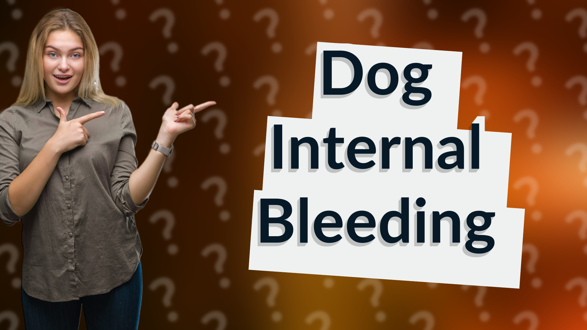 Dog Internal Bleeding