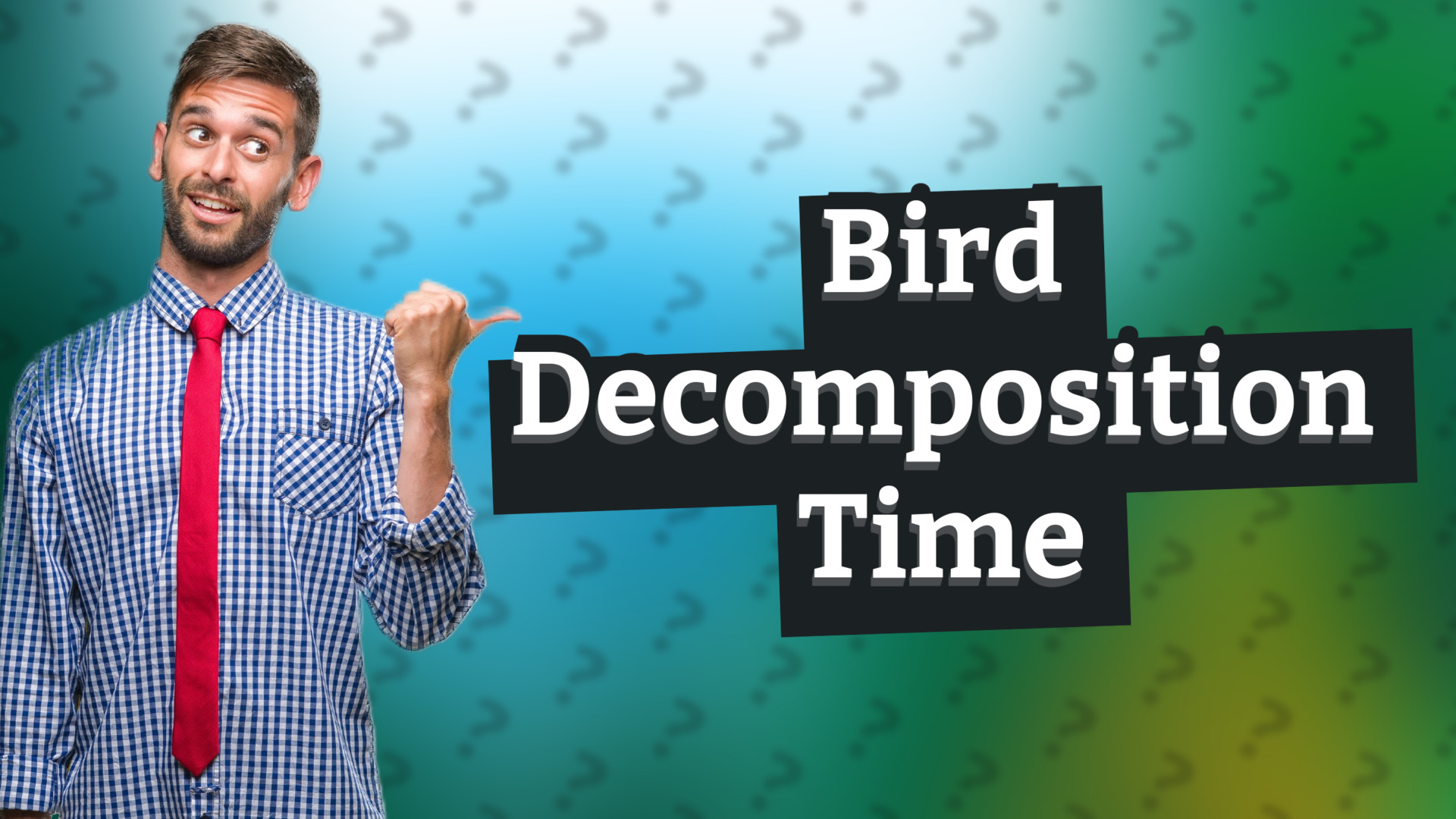 Bird Decomposition Time