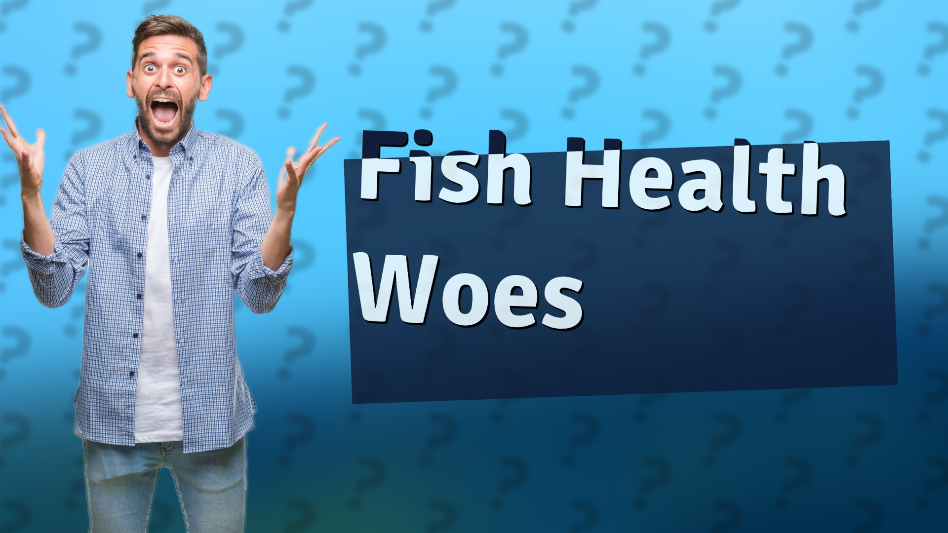 Fish Health Woes