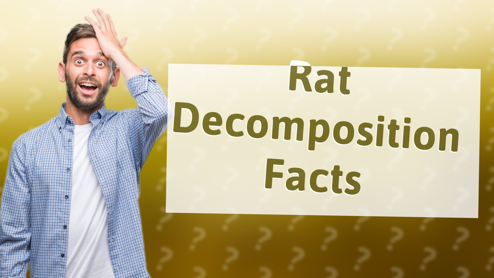 Rat Decomposition Facts