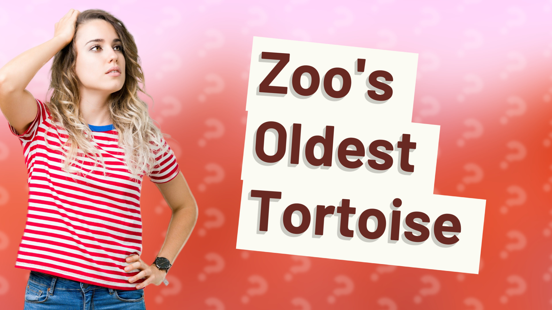 Zoo's Oldest Tortoise